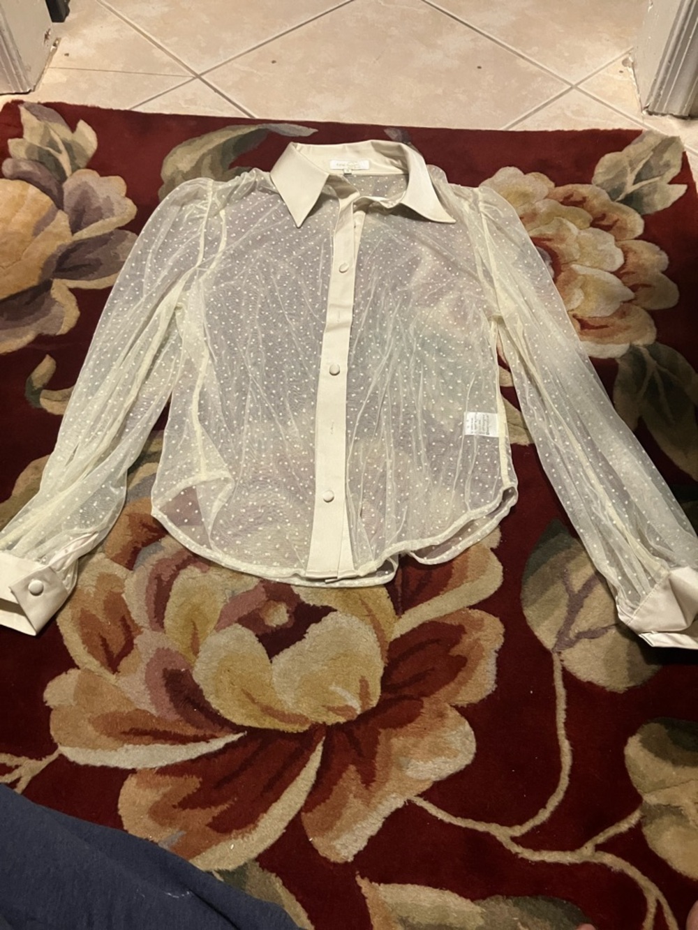 Sheer Ivory Dot Button-Down Blouse